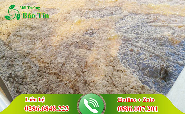 Hút bùn vi sinh Bình Dương vận chuyển uy tín chuyên nghiệp