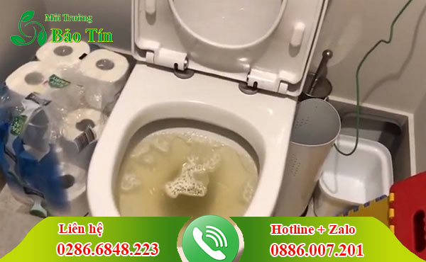 Thông bồn cầu xã Tân Kiên giá rẻ 99k thợ đến nhanh