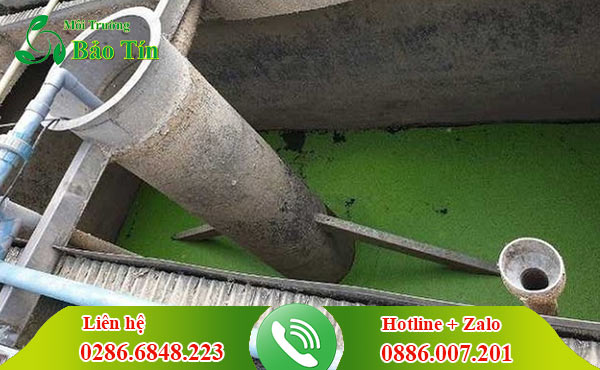 Hút vận chuyển bùn nước thải công nghiệp ở Quảng Ngãi