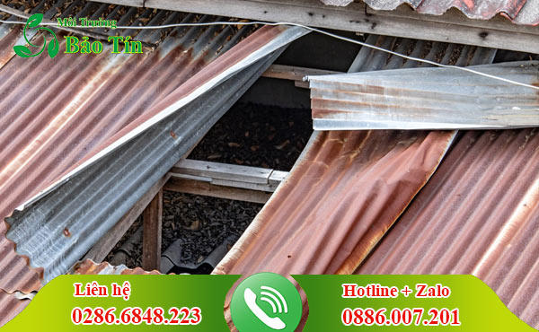 Mua Bán thanh lý tôn cũ giá cao tại Quận 1