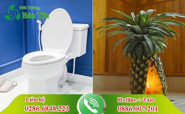 Xử lý mùi hôi hố ga nhà vệ sinh Bến Tre